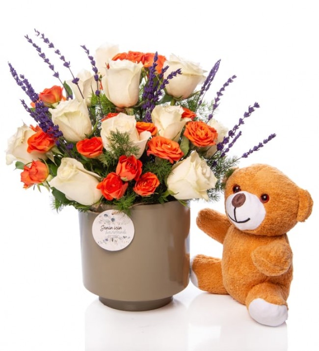 Beyaz Turuncu Gül ve Ayıcık